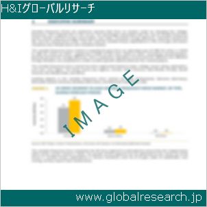 グローバルリサーチ調査レポートのイメージ